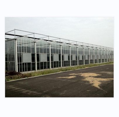 Große landwirtschaftliche intelligente Holland Gewächshaus Glas für Tomaten Gurke Salat