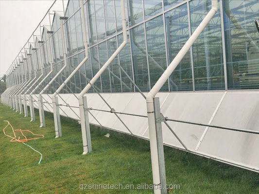 Große landwirtschaftliche intelligente Holland Gewächshaus Glas für Tomaten Gurke Salat