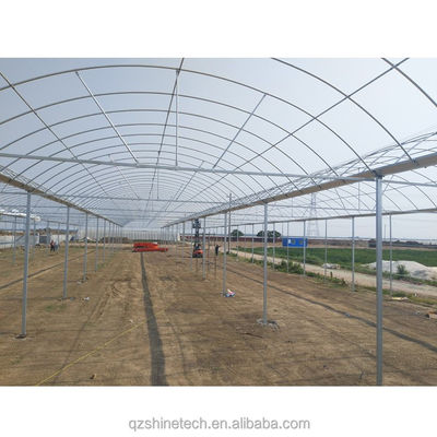 Super starke Widerstandsfähigkeit Multi Span landwirtschaftliches Gewächshaus von Shine Tech