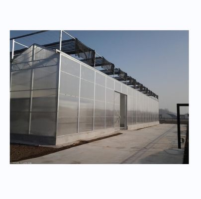 PC Polycarbonatplatten aus Kunststoff Mehrspannung Hydroponisches Gewächshaus
