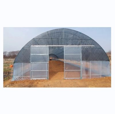 Hohe Tunnel-Film-Tomaten-Gewächshaus mit Schattennetz Einzelschicht 10-100m Länge