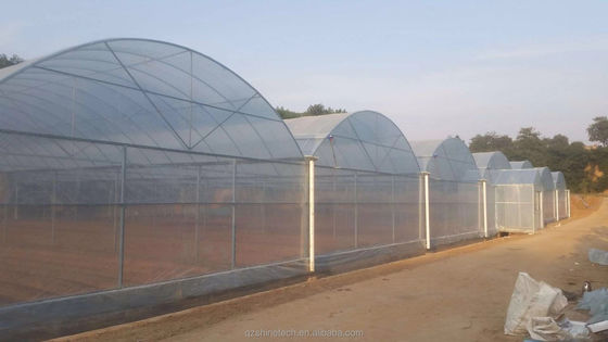 Super starke Widerstandsfähigkeit Multi Span landwirtschaftliches Gewächshaus von Shine Tech