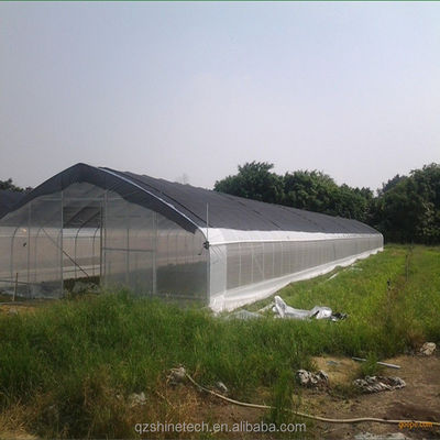 Hohe Tunnel-Film-Tomaten-Gewächshaus mit Schattennetz Einzelschicht 10-100m Länge
