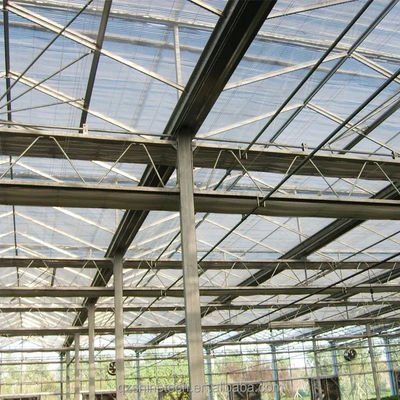 Große landwirtschaftliche intelligente Holland Gewächshaus Glas für Tomaten Gurke Salat