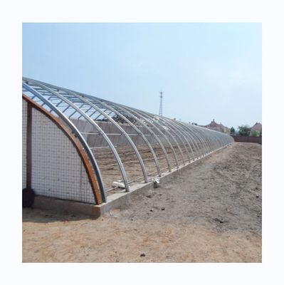 Passives Solargewächshaus Kanadischer Markt Warmes Gewächshaus für die kommerzielle Landwirtschaft