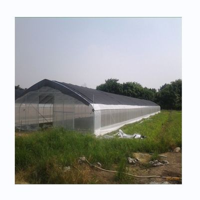 Individuelles Gewächshaus für den Gurkenanbau 10-100 m Länge