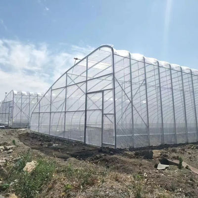 Passives Solargewächshaus Kanadischer Markt Warmes Gewächshaus für die kommerzielle Landwirtschaft