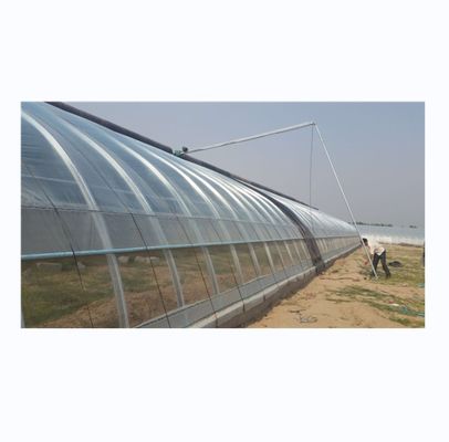 Einlagige Ziegelwand Solar Gewächshäuser 8m-16m Breite mit Isolierdecke