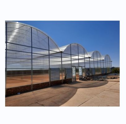 Multi-Span kommerzielle landwirtschaftliche Smart Venlo PC Gewächshaus 4,0-8,0 M Höhe