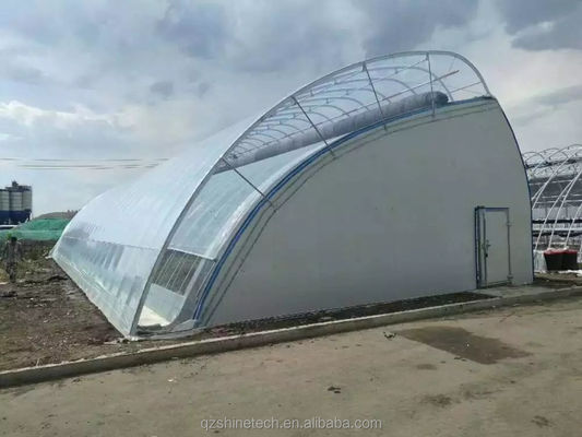 Einlagige Ziegelwand Solar Gewächshäuser 8m-16m Breite mit Isolierdecke