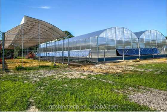Multi-Span kommerzielle landwirtschaftliche Smart Venlo PC Gewächshaus 4,0-8,0 M Höhe