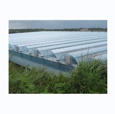 Große Multi-Span landwirtschaftliche Film Gewächshäuser mit optionalem Kühlsystem