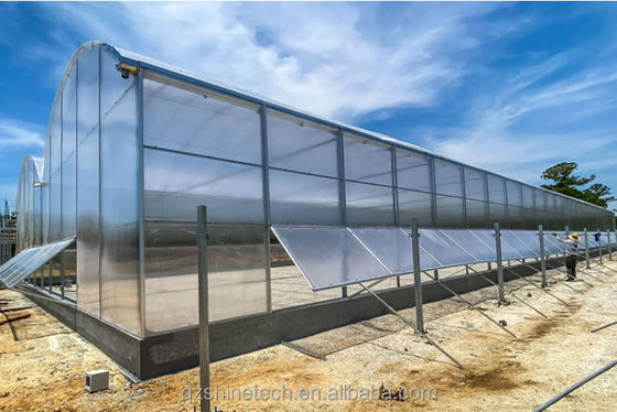 Multi-Span kommerzielle landwirtschaftliche Smart Venlo PC Gewächshaus 4,0-8,0 M Höhe
