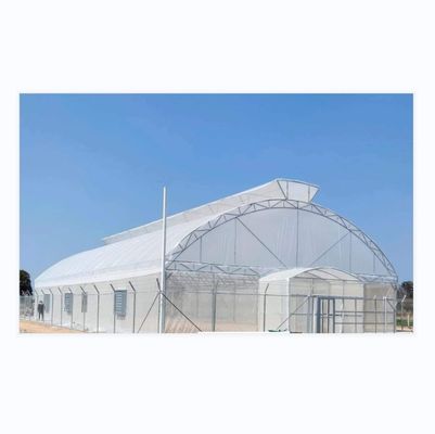 Zeichnung Shine Tech Einzelspann-Tunnel Landwirtschaftliche Gewächshäuser