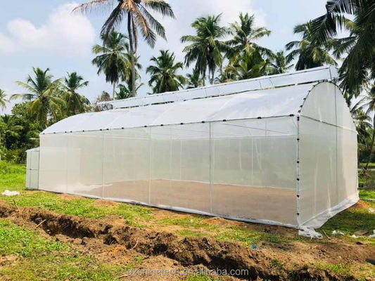 Zeichnung Shine Tech Einzelspann-Tunnel Landwirtschaftliche Gewächshäuser