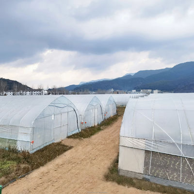 Zeichnung Shine Tech Einzelspann-Tunnel Landwirtschaftliche Gewächshäuser