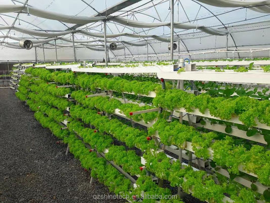 Hydroponisches Anbausystem 100*50mm NFT PVC-Rohr Vertikale Landwirtschaft mit weißem Zubehör