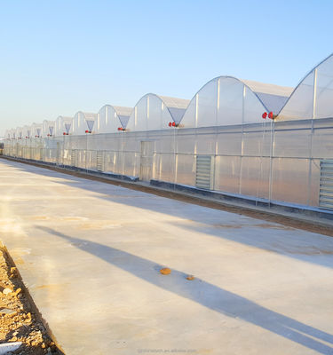 8m Span Breite Mehrfach Span Landwirtschaftliche kommerzielle Tomaten Gewächshaus mit Kühlsystem