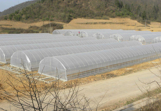 200-Mikron-UV-Schutz-PE-Film Ein-Tunnel-Gewächshaus für Tomaten- und Gurkenanbau