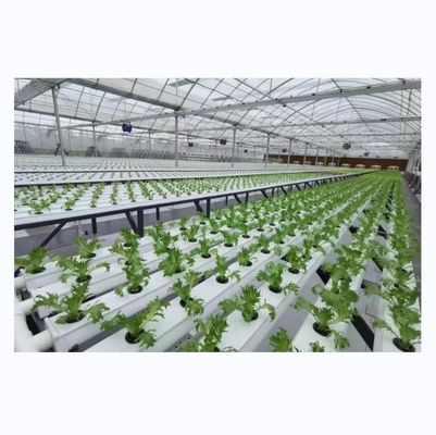 Horizontale PVC-NFT-Kanal für Hydroponische Blattgemüseanbau