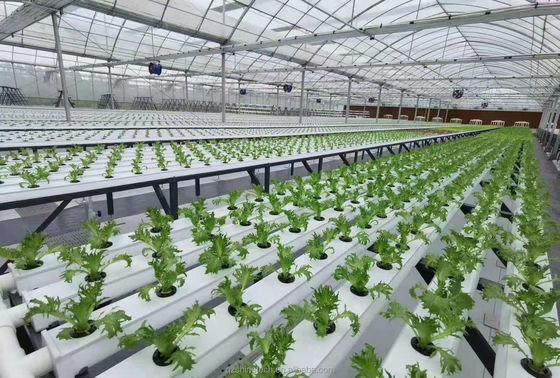 Horizontale PVC-NFT-Kanal für Hydroponische Blattgemüseanbau