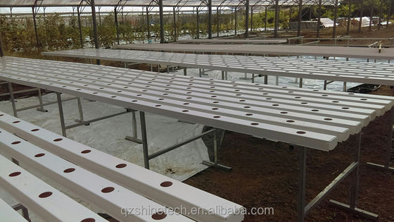 Horizontale PVC-NFT-Kanal für Hydroponische Blattgemüseanbau