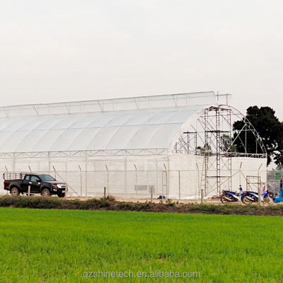 200-Mikron-UV-Schutz-PE-Film Ein-Tunnel-Gewächshaus für Tomaten- und Gurkenanbau