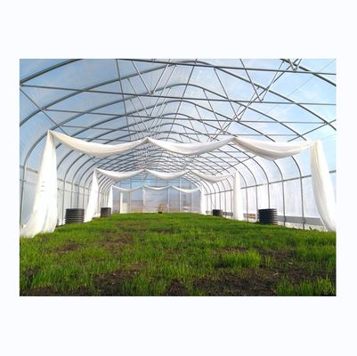 Einfachrahmen-Poly-Tunnel-Film-Gewächshaus für Landwirtschaft
