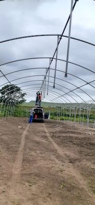 Einfachrahmen-Poly-Tunnel-Film-Gewächshaus für Landwirtschaft