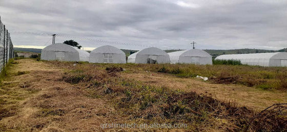 Einfachrahmen-Poly-Tunnel-Film-Gewächshaus für Landwirtschaft
