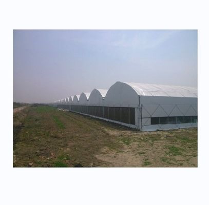 Hot Dip Galvanized Stahlrahmen bewegliche Bank Automatisches Lichtentzug Gewächshaus