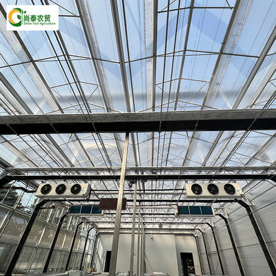 Hot Dip Galvanized Stahlrahmen bewegliche Bank Automatisches Lichtentzug Gewächshaus