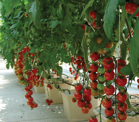30*25*23cm Dutch Bucket vollständiges hydroponisches Anbausystem für Tomaten Gurke Pfeffer