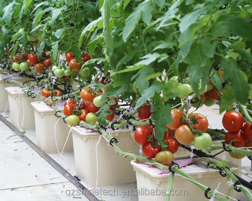 30*25*23cm Dutch Bucket vollständiges hydroponisches Anbausystem für Tomaten Gurke Pfeffer