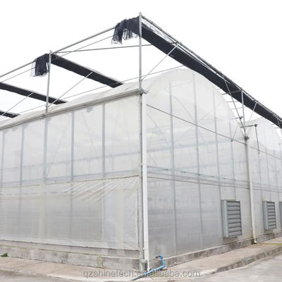 8m Breite Poly Tunnel Gewächshaus für den Anbau von Tomaten mit hohem Ertrag
