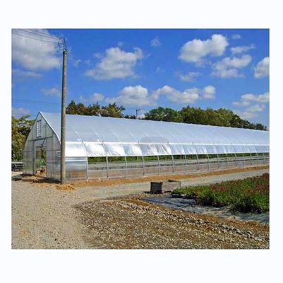 Hot Dip Galvanized Stahlrohrrahmen Einzelspann Landwirtschaftliche Gewächshaus für Wachstumszelt
