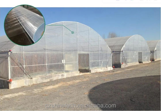 Hot Dip Galvanized Stahlrohrrahmen Einzelspann Landwirtschaftliche Gewächshaus für Wachstumszelt