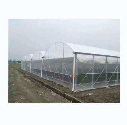 150/200 Mikron Plastikfolie Mehrspannung Gewächshaus für Gemüse- und Blumenbau