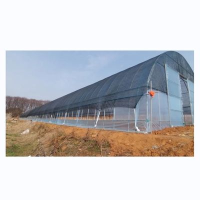 Landwirtschaftliche Gewächshäuser mit einer einzigen Spannweite Schattierungsnetz Film Gewächshäuser für Tomatenanbau