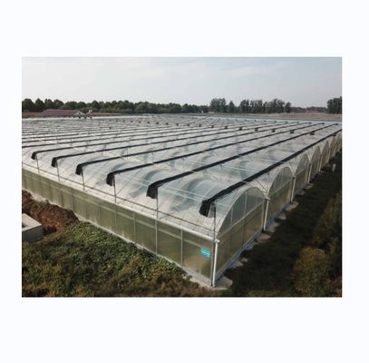 Gewerbliches Multi-Span-Film-Gewächshaus mit externem Sonnenschirmsystem und 4 m Buchtbreite