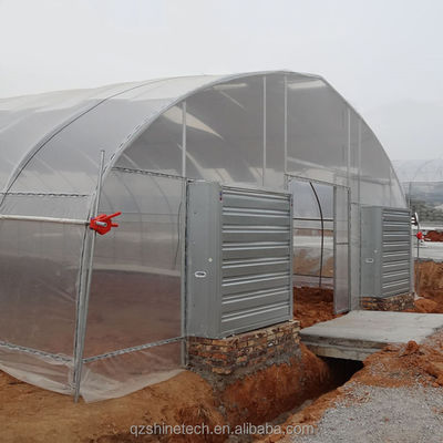Kühlsystem Landwirtschaftliche Gewächshäuser für Tomatenzüchter