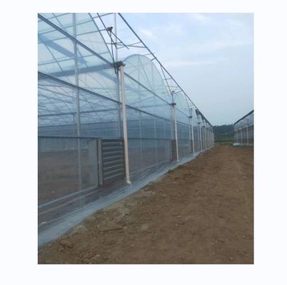 Shine Tech Multi Span Plastikfolie Gewächshaus für Tomaten und Erdbeeren