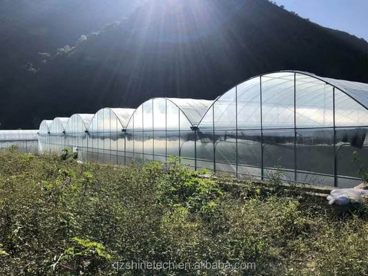 Shine Tech Multi Span Plastikfolie Gewächshaus für Tomaten und Erdbeeren