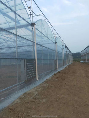 Shine Tech Multi Span Plastikfolie Gewächshaus für Tomaten und Erdbeeren