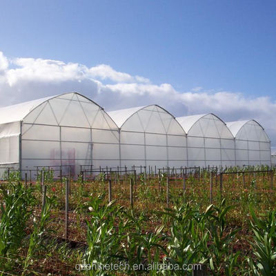 Shine Tech Multi Span Plastikfolie Gewächshaus für Tomaten und Erdbeeren