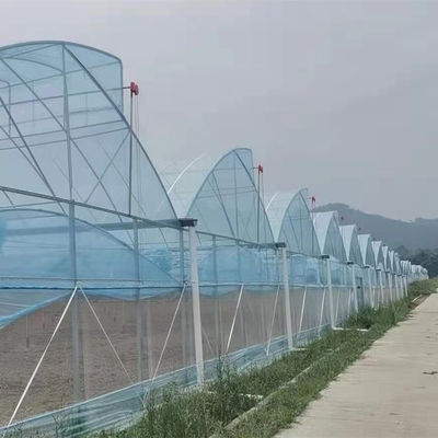 Shine Tech Multi Span Plastikfolie Gewächshaus für Tomaten und Erdbeeren