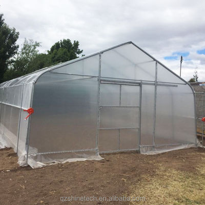 Gewächshaus mit Dach- und Seitenlüftung für den Tomatenanbau