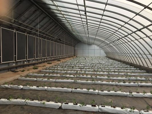 Filmbedecktes Solargewächshaus für den nachhaltigen Wintergurkbau