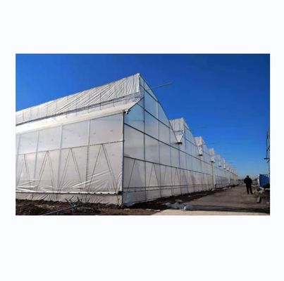 Große Sägezahn-Gewächshäuser Schimmer Tech Poly Tunnel Tropische Gewächshäuser mit Lüftung