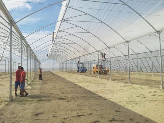 Große Sägezahn-Gewächshäuser Schimmer Tech Poly Tunnel Tropische Gewächshäuser mit Lüftung